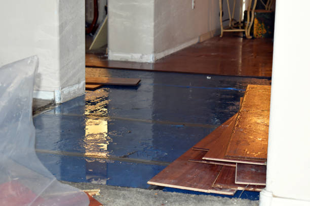 Professional Basement Flooding technician working in Bozrah, CT